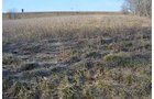 Property photo 24 - East Allen County - 55 Acre Land Auction